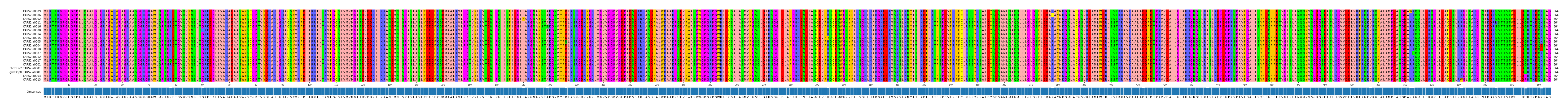 Multiple Alignments (by translate haplotype similarity)