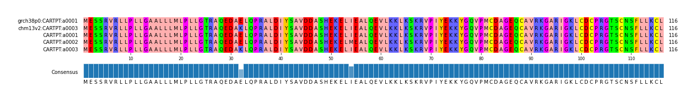 Multiple Alignments (by translate haplotype frequency)