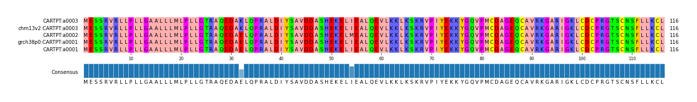 Multiple Alignments (by translate haplotype similarity)