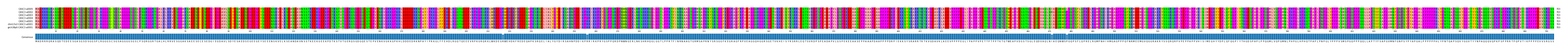 Multiple Alignments (by translate haplotype similarity)