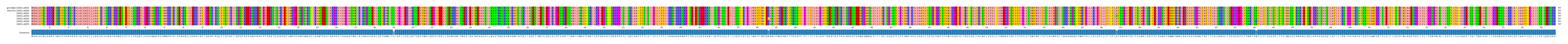 Multiple Alignments (by translate haplotype frequency)