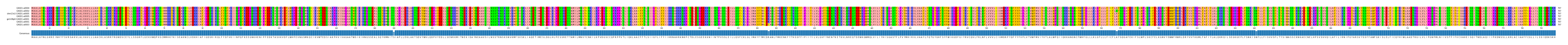Multiple Alignments (by translate haplotype similarity)