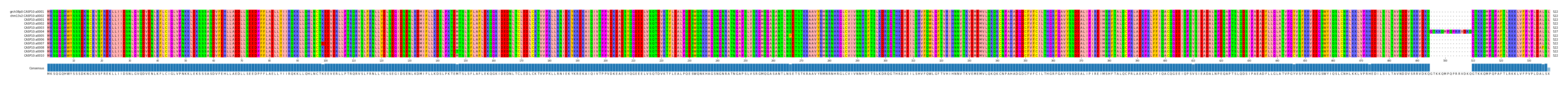 Multiple Alignments (by translate haplotype frequency)