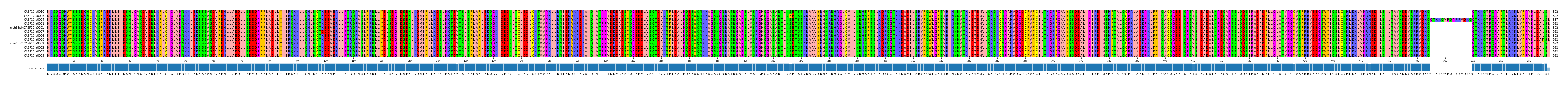 Multiple Alignments (by translate haplotype similarity)