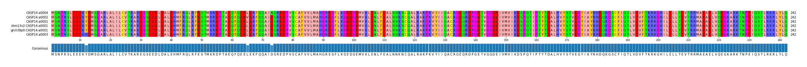 Multiple Alignments (by translate haplotype similarity)