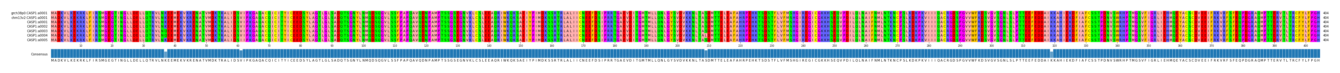 Multiple Alignments (by translate haplotype frequency)