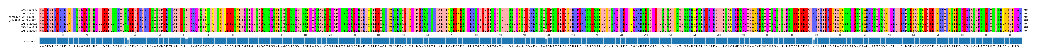Multiple Alignments (by translate haplotype similarity)
