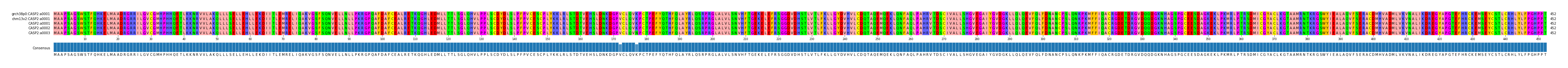 Multiple Alignments (by translate haplotype frequency)