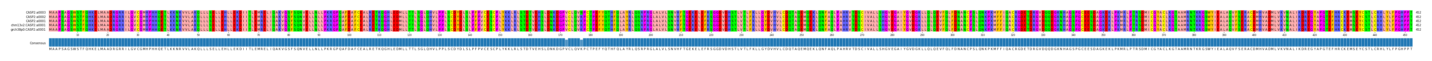 Multiple Alignments (by translate haplotype similarity)