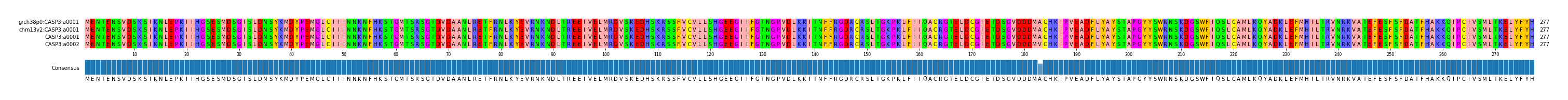 Multiple Alignments (by translate haplotype similarity)