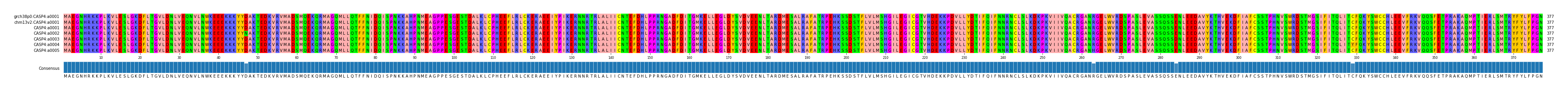 Multiple Alignments (by translate haplotype frequency)