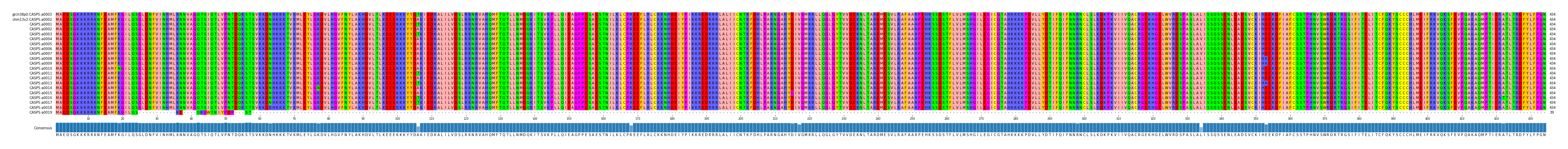Multiple Alignments (by translate haplotype frequency)