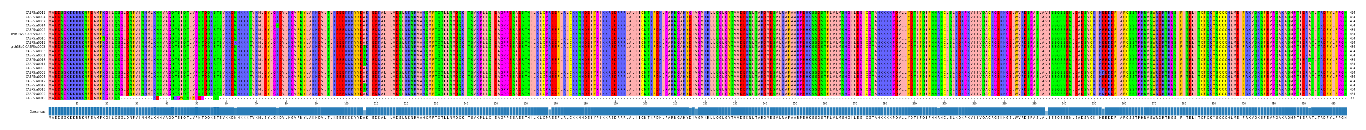 Multiple Alignments (by translate haplotype similarity)