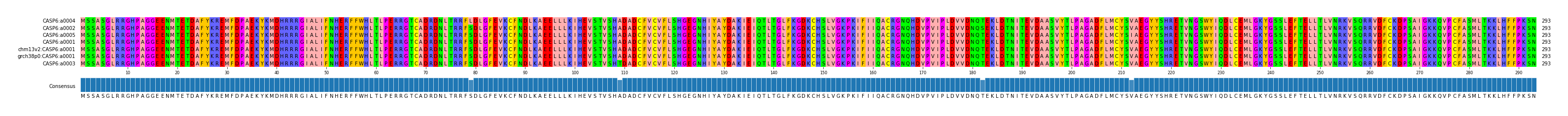 Multiple Alignments (by translate haplotype similarity)