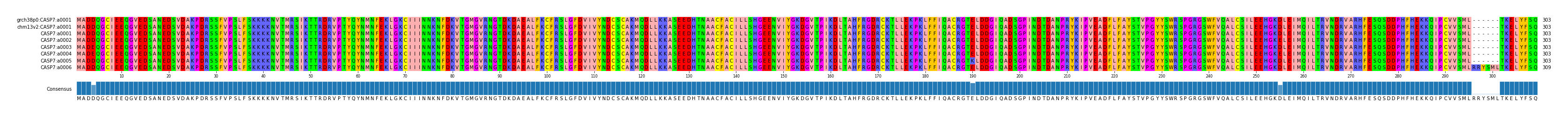 Multiple Alignments (by translate haplotype frequency)