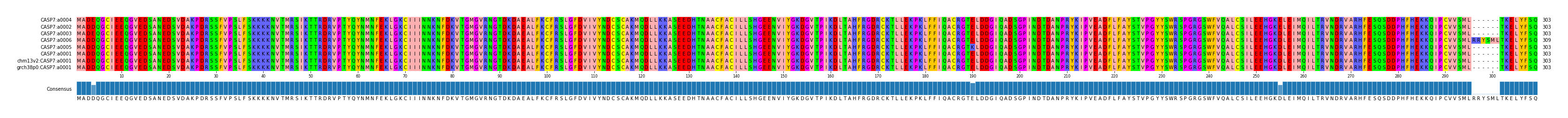 Multiple Alignments (by translate haplotype similarity)