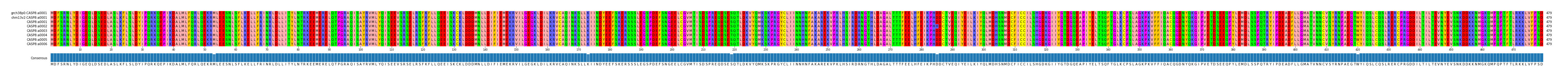 Multiple Alignments (by translate haplotype frequency)