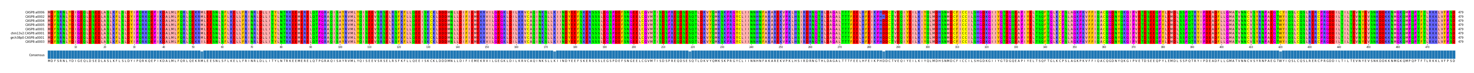 Multiple Alignments (by translate haplotype similarity)
