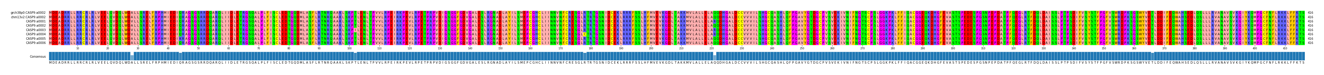 Multiple Alignments (by translate haplotype frequency)