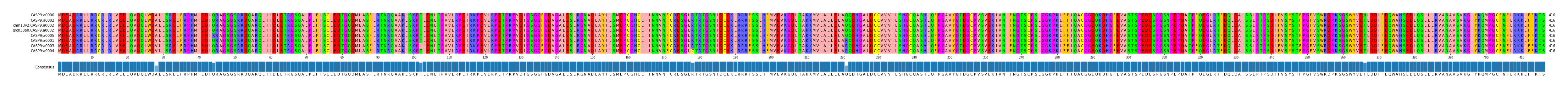 Multiple Alignments (by translate haplotype similarity)