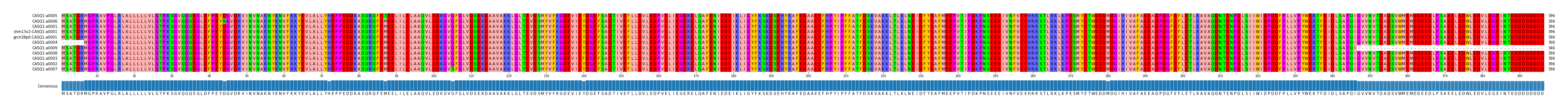 Multiple Alignments (by translate haplotype similarity)