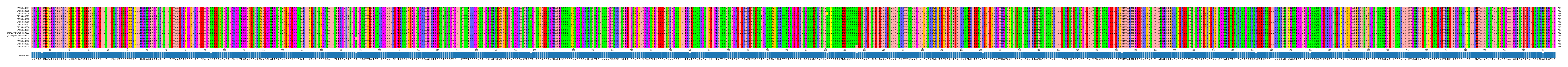 Multiple Alignments (by translate haplotype similarity)