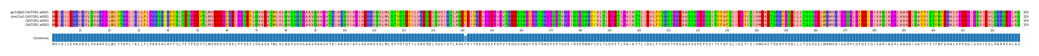 Multiple Alignments (by translate haplotype similarity)