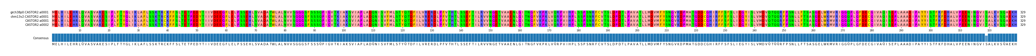 Multiple Alignments (by translate haplotype similarity)