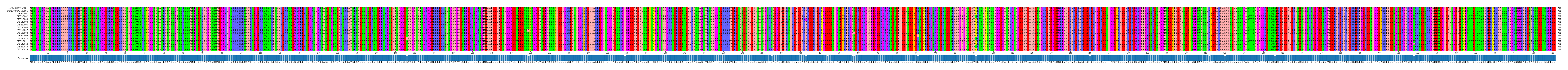 Multiple Alignments (by translate haplotype frequency)
