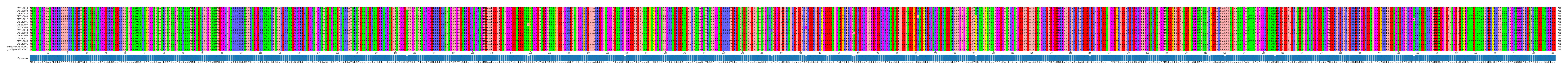 Multiple Alignments (by translate haplotype similarity)