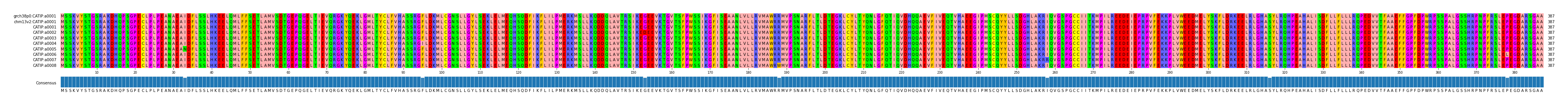 Multiple Alignments (by translate haplotype frequency)