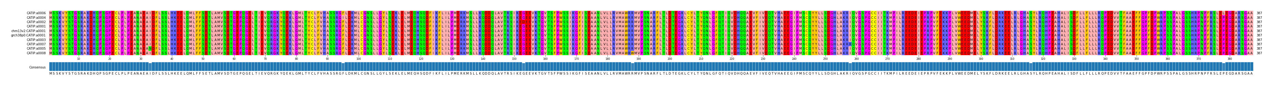 Multiple Alignments (by translate haplotype similarity)