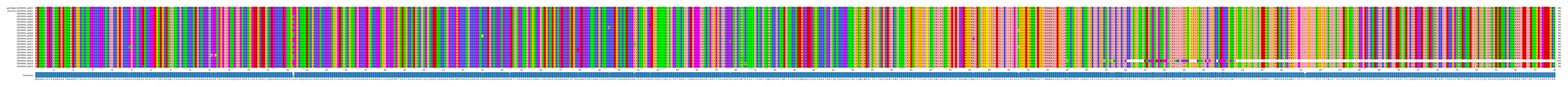 Multiple Alignments (by translate haplotype frequency)
