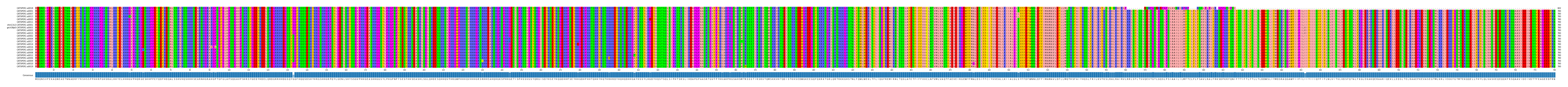 Multiple Alignments (by translate haplotype similarity)