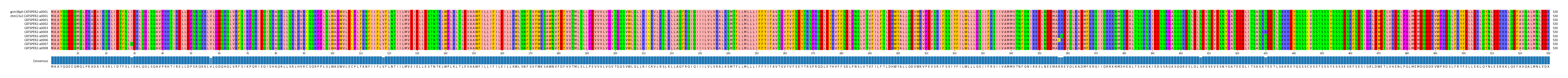 Multiple Alignments (by translate haplotype frequency)