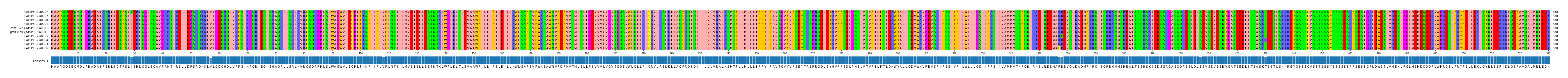Multiple Alignments (by translate haplotype similarity)