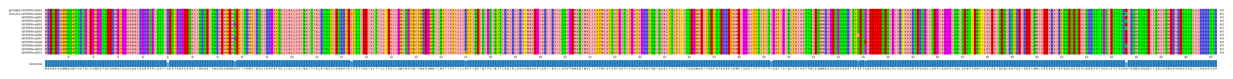 Multiple Alignments (by translate haplotype frequency)