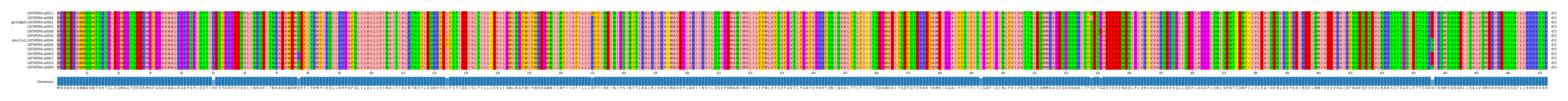 Multiple Alignments (by translate haplotype similarity)