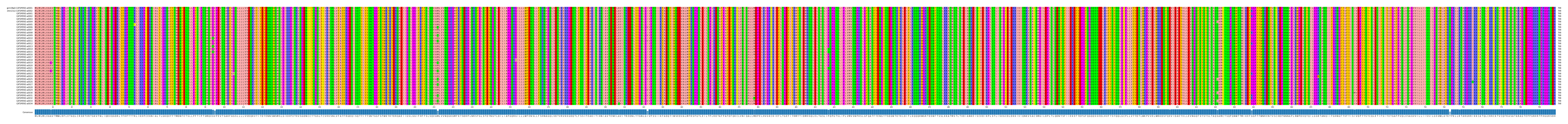Multiple Alignments (by translate haplotype frequency)