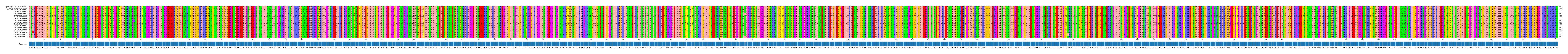 Multiple Alignments (by translate haplotype frequency)