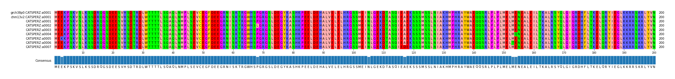 Multiple Alignments (by translate haplotype frequency)