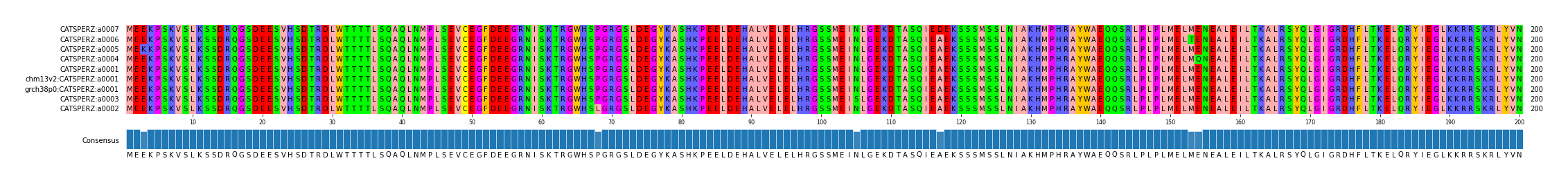 Multiple Alignments (by translate haplotype similarity)