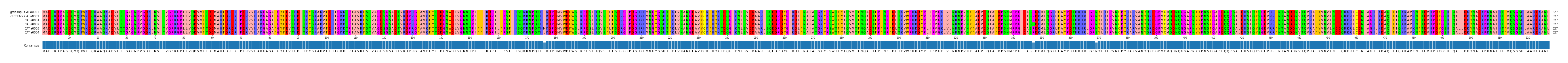 Multiple Alignments (by translate haplotype frequency)