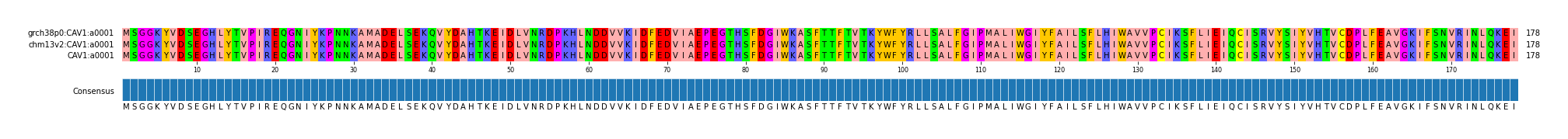 Multiple Alignments (by translate haplotype frequency)