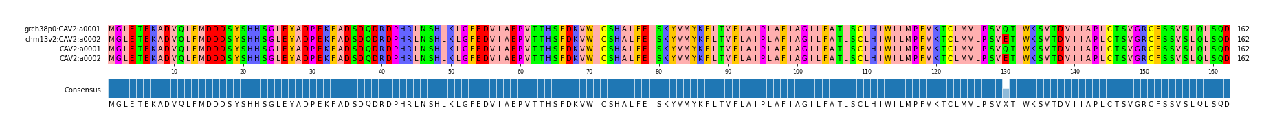 Multiple Alignments (by translate haplotype frequency)