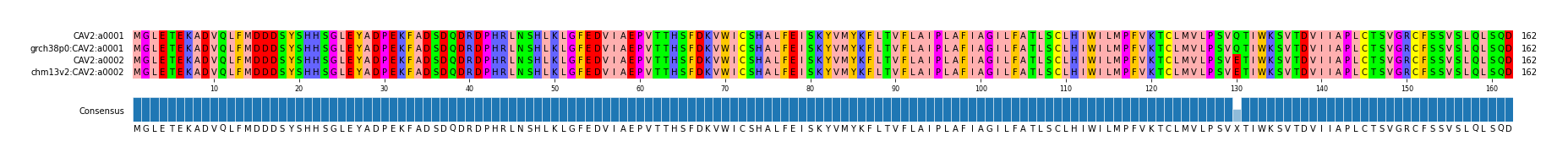 Multiple Alignments (by translate haplotype similarity)