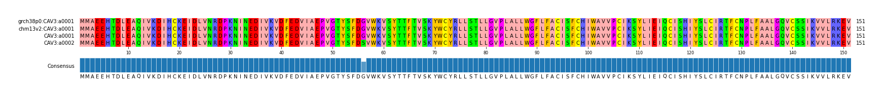 Multiple Alignments (by translate haplotype similarity)