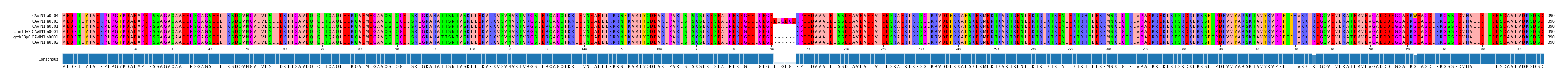 Multiple Alignments (by translate haplotype similarity)
