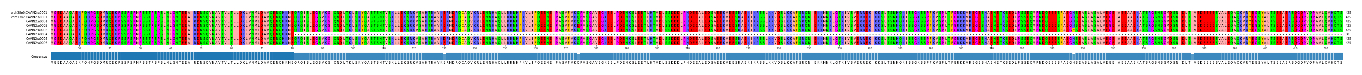 Multiple Alignments (by translate haplotype frequency)