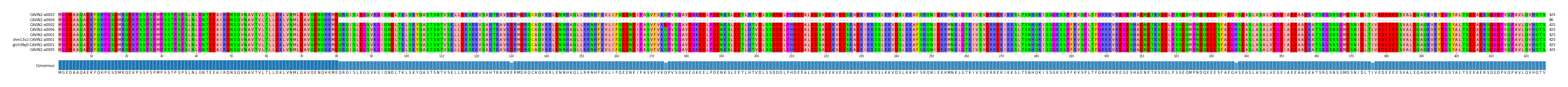 Multiple Alignments (by translate haplotype similarity)